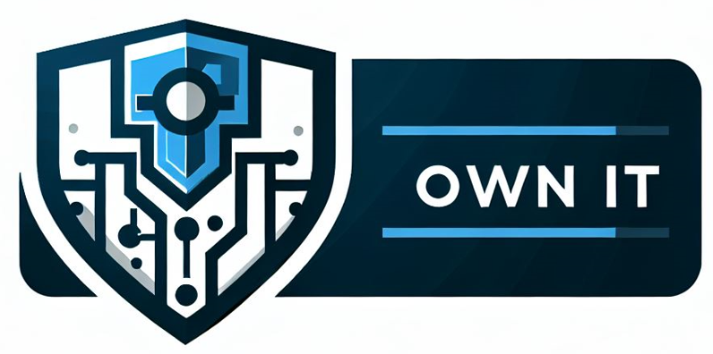 ownitmsp.com